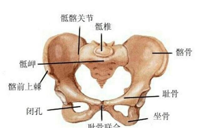 孕前就存在关节痛、颈椎痛、腰酸背痛等问题